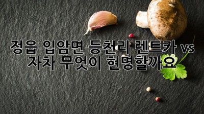 정읍 입암면 등천리 렌트카 vs 자차, 무엇이 현명할까요?