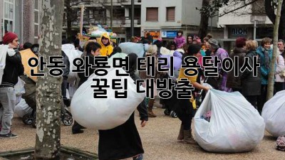 안동 와룡면 태리 용달이사🚚💨: 꿀팁 대방출🍯